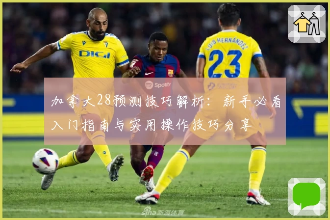 加拿大28预测技巧解析：新手必看入门指南与实用操作技巧分享