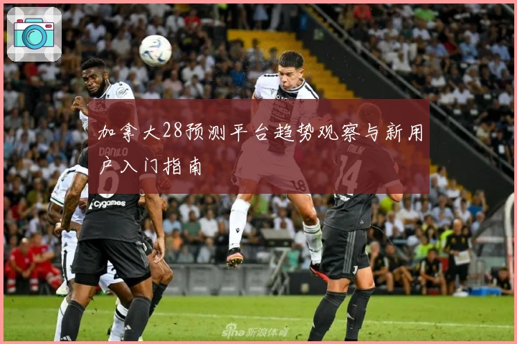 加拿大28预测平台趋势观察与新用户入门指南