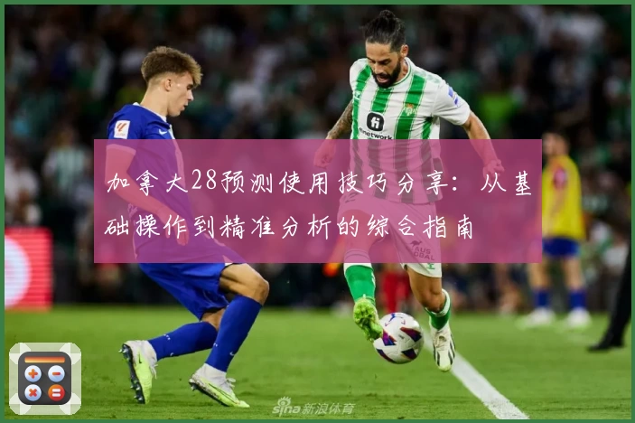 加拿大28预测使用技巧分享：从基础操作到精准分析的综合指南