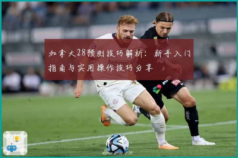 加拿大28预测技巧解析：新手入门指南与实用操作技巧分享