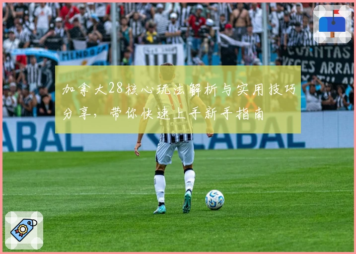 加拿大28核心玩法解析与实用技巧分享，带你快速上手新手指南