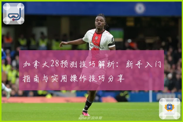 加拿大28预测技巧解析：新手入门指南与实用操作技巧分享