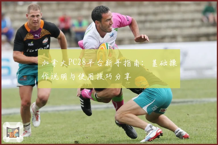 加拿大PC28平台新手指南：基础操作说明与使用技巧分享