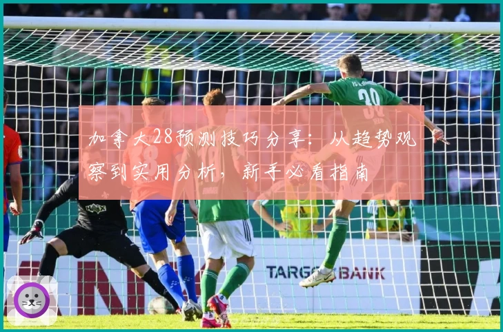 加拿大28预测技巧分享：从趋势观察到实用分析，新手必看指南