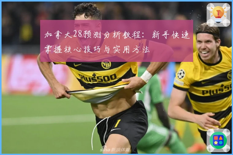 加拿大28预测分析教程：新手快速掌握核心技巧与实用方法