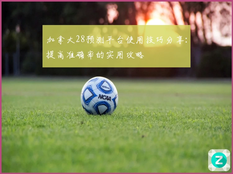 加拿大28预测平台使用技巧分享：提高准确率的实用攻略
