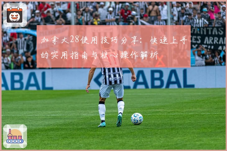 加拿大28使用技巧分享：快速上手的实用指南与核心操作解析
