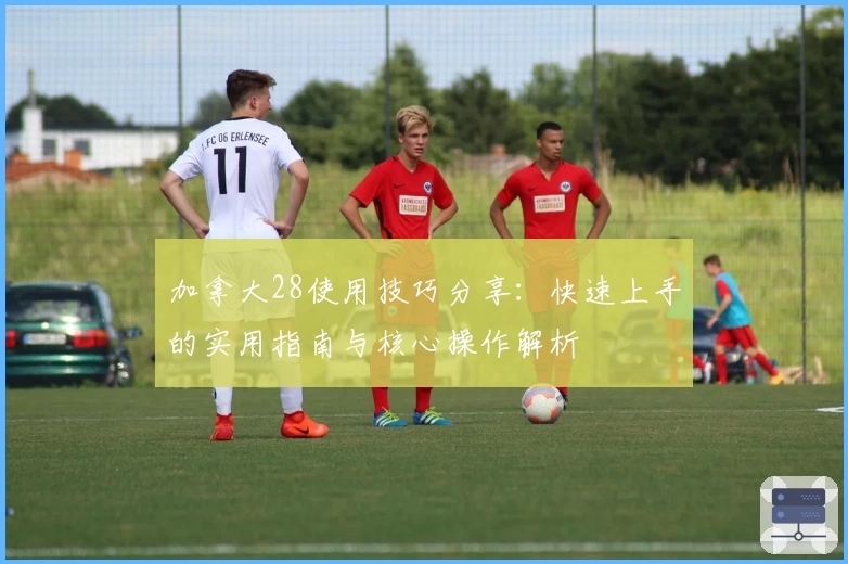 加拿大28使用技巧分享：快速上手的实用指南与核心操作解析