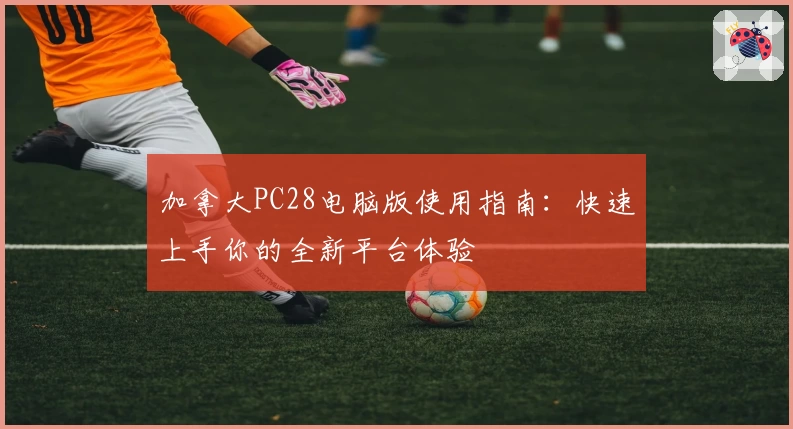 加拿大PC28电脑版使用指南：快速上手你的全新平台体验