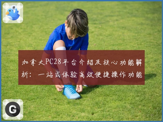 加拿大PC28平台介绍及核心功能解析：一站式体验高效便捷操作功能