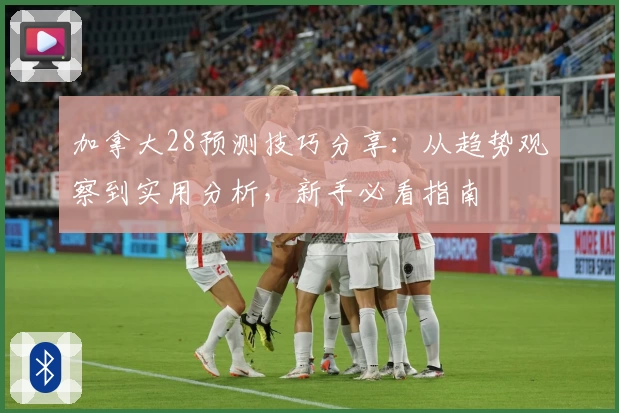 加拿大28预测技巧分享：从趋势观察到实用分析，新手必看指南