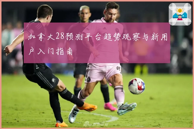 加拿大28预测平台趋势观察与新用户入门指南