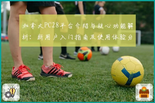 加拿大PC28平台介绍与核心功能解析：新用户入门指南及使用体验分享